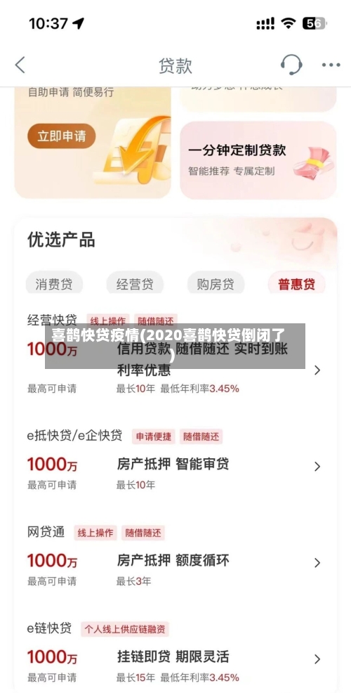 喜鹊快贷疫情(2020喜鹊快贷倒闭了)