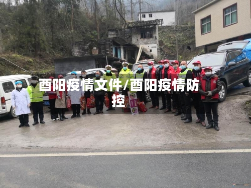 酉阳疫情文件/酉阳疫情防控