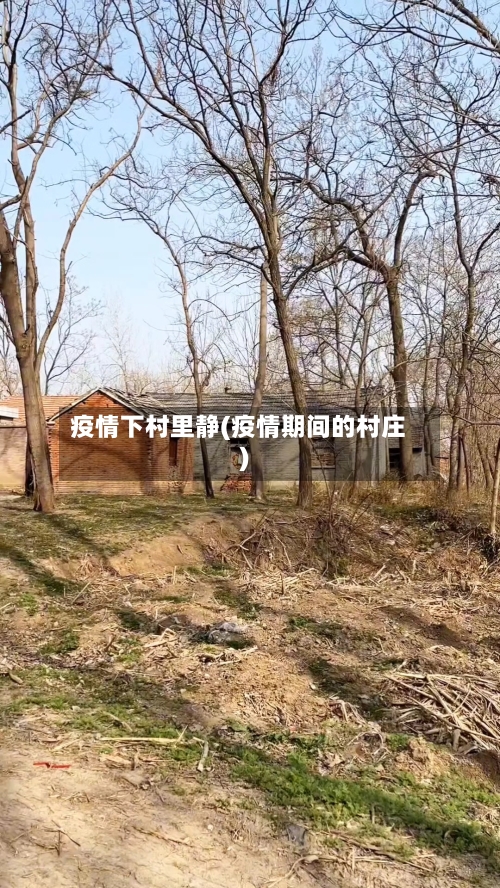 疫情下村里静(疫情期间的村庄)-第2张图片
