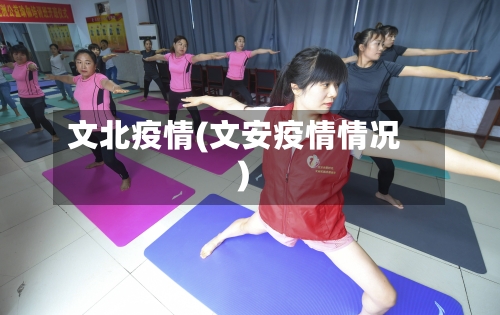 文北疫情(文安疫情情况)-第2张图片