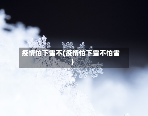 疫情怕下雪不(疫情怕下雪不怕雪)-第2张图片