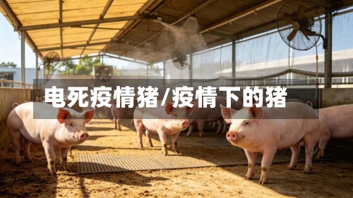 电死疫情猪/疫情下的猪-第2张图片