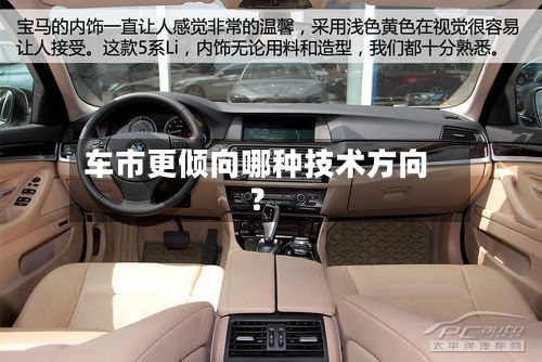 车市更倾向哪种技术方向?