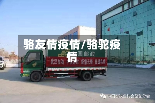骆友情疫情/骆驼疫情