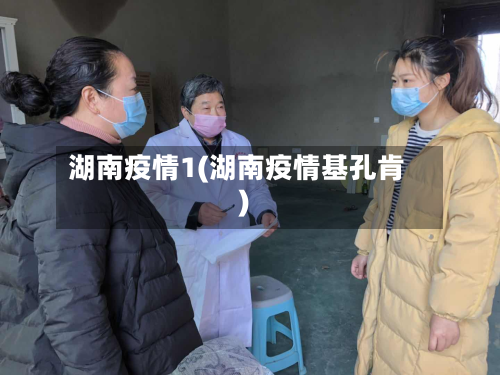 湖南疫情1(湖南疫情基孔肯)-第2张图片