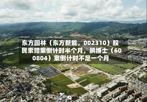 东方园林（东方新能，002310）股民索赔案倒计时半个月，鹏博士（600804）案倒计时不足一个月-第2张图片