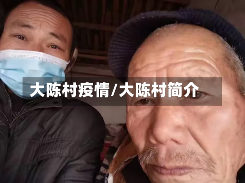 大陈村疫情/大陈村简介-第3张图片