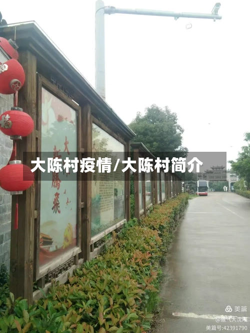大陈村疫情/大陈村简介