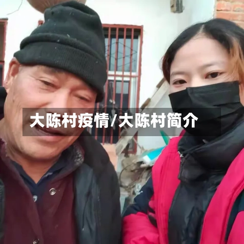 大陈村疫情/大陈村简介-第2张图片