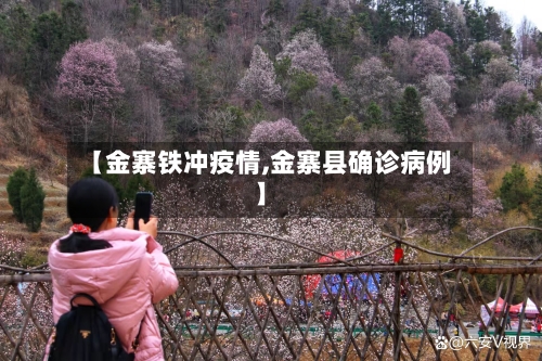 【金寨铁冲疫情,金寨县确诊病例】