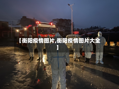 【衡阳疫情图片,衡阳疫情图片大全】-第2张图片