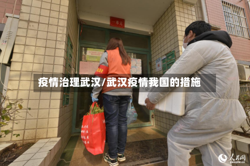 疫情治理武汉/武汉疫情我国的措施-第2张图片