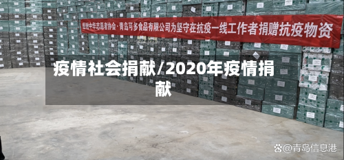 疫情社会捐献/2020年疫情捐献