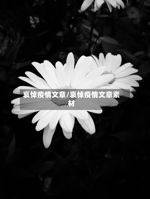 哀悼疫情文章/哀悼疫情文章素材-第2张图片