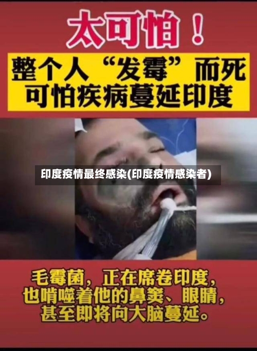 印度疫情最终感染(印度疫情感染者)-第2张图片