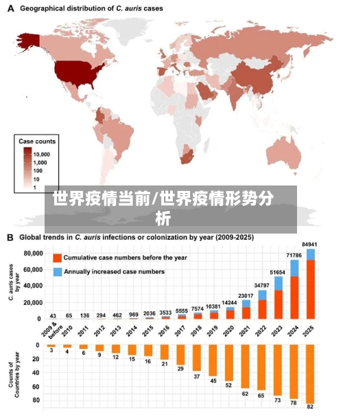 世界疫情当前/世界疫情形势分析-第2张图片