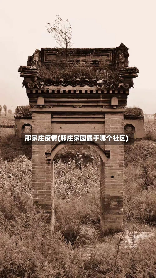 邢家庄疫情(邢庄家园属于哪个社区)