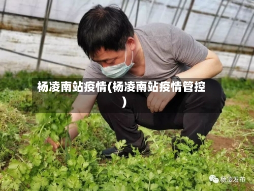 杨凌南站疫情(杨凌南站疫情管控)
