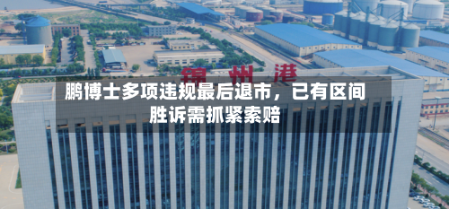 鹏博士多项违规最后退市	，已有区间胜诉需抓紧索赔-第3张图片