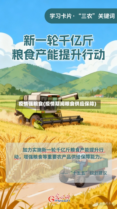 疫情强粮食(疫情期间粮食供应保障)
