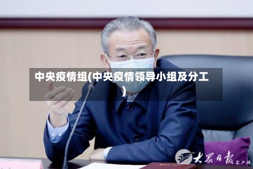 中央疫情组(中央疫情领导小组及分工)-第2张图片