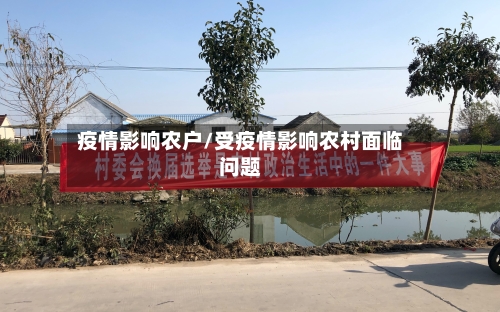 疫情影响农户/受疫情影响农村面临问题