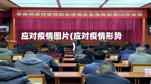 应对疫情图片(应对疫情形势)-第3张图片