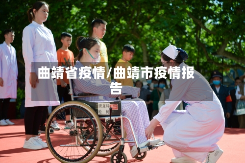 曲靖省疫情/曲靖市疫情报告-第3张图片