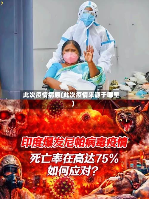 此次疫情病原(此次疫情来源于哪里)-第3张图片