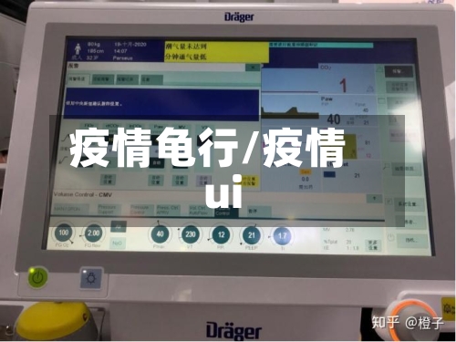疫情龟行/疫情ui