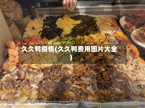 久久鸭疫情(久久鸭费用图片大全)-第2张图片