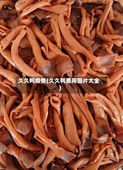久久鸭疫情(久久鸭费用图片大全)