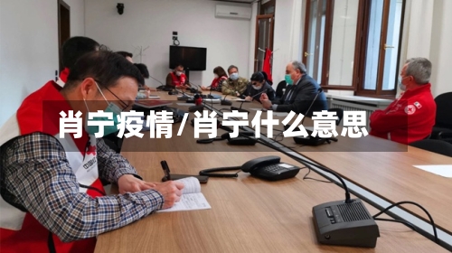 肖宁疫情/肖宁什么意思