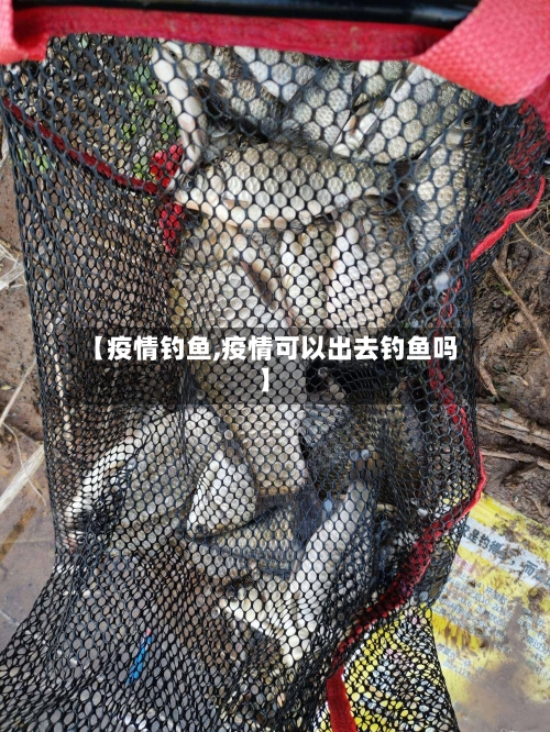 【疫情钓鱼,疫情可以出去钓鱼吗】