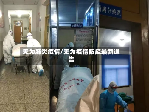 无为肺炎疫情/无为疫情防控最新通告-第2张图片