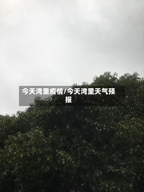 今天湾里疫情/今天湾里天气预报