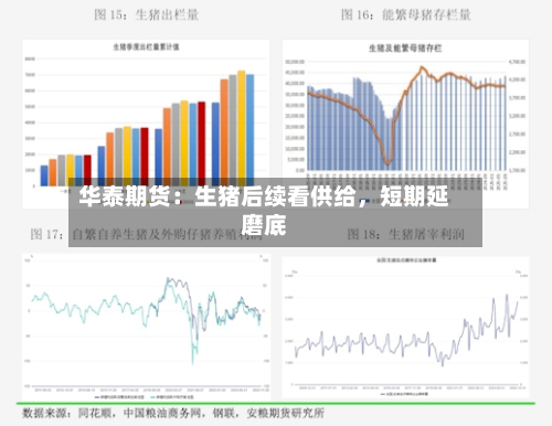 华泰期货：生猪后续看供给	，短期延磨底-第1张图片