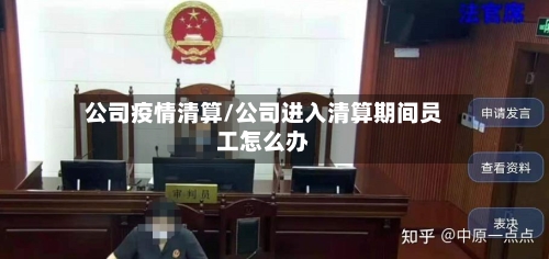 公司疫情清算/公司进入清算期间员工怎么办-第2张图片