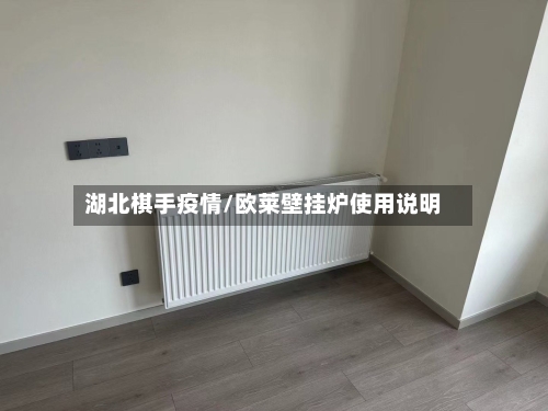 湖北棋手疫情/欧莱壁挂炉使用说明-第2张图片