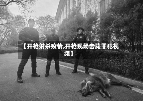 【开枪射杀疫情,开枪现场击毙罪犯视频】-第2张图片